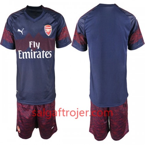 Arsenal Fodboldtrøjer Børn Udebanesæt 2018/19 Kort ærmer Arsenal Fodboldtrøjer Børn Udebanesæt 2018/19 Kort ærmer